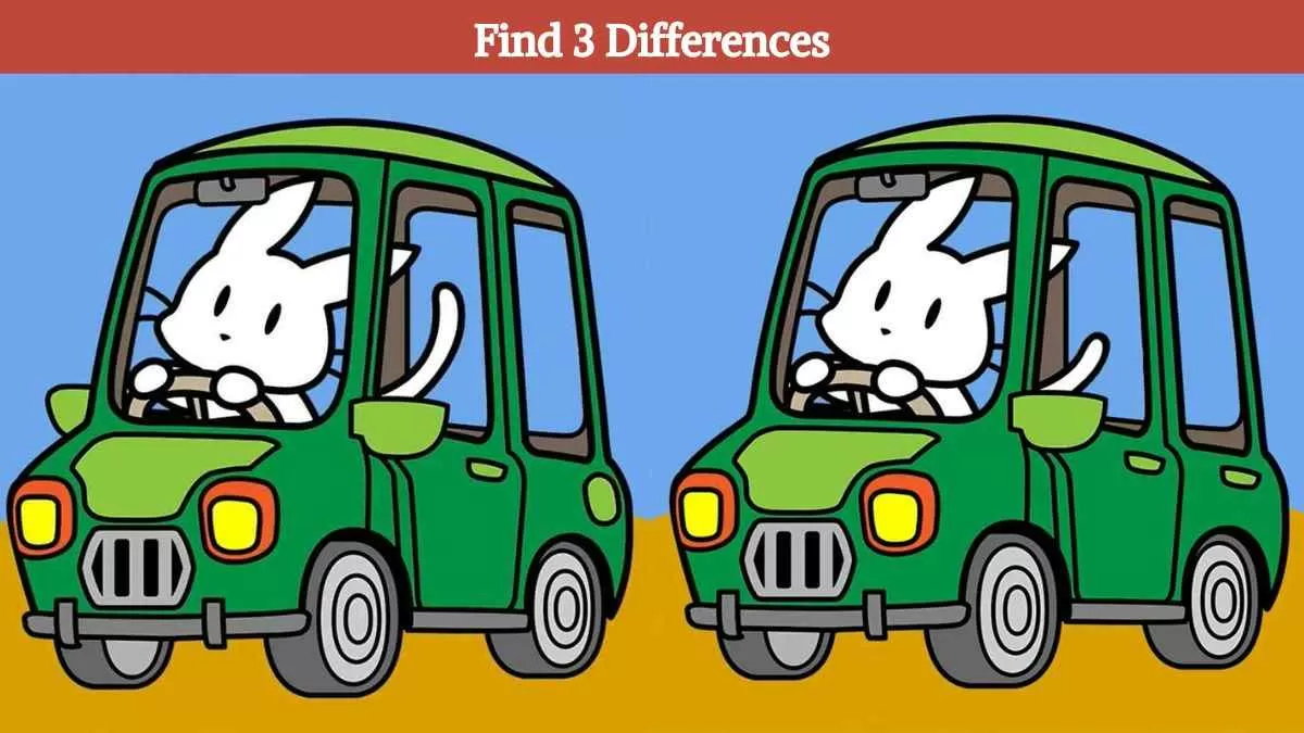 Find 3 differences in 17 seconds