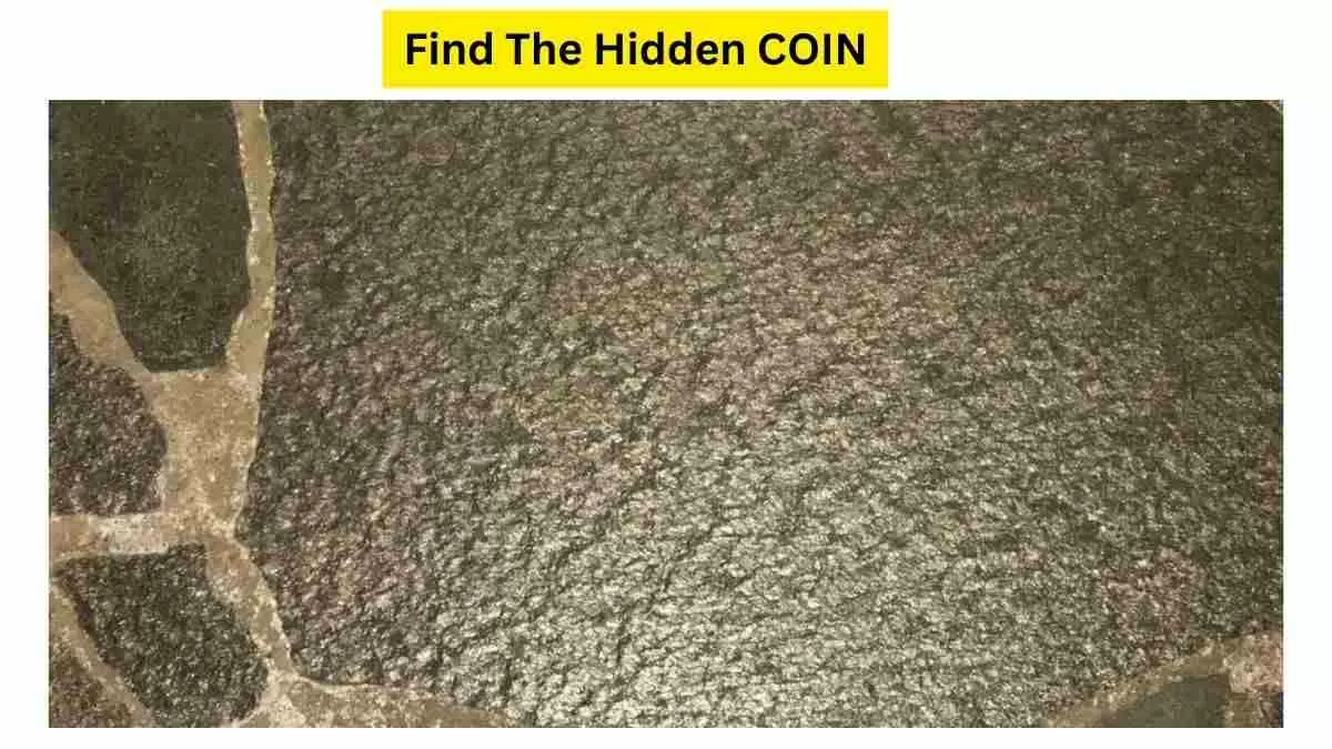 Spot The Coin Hidden In The Picture!