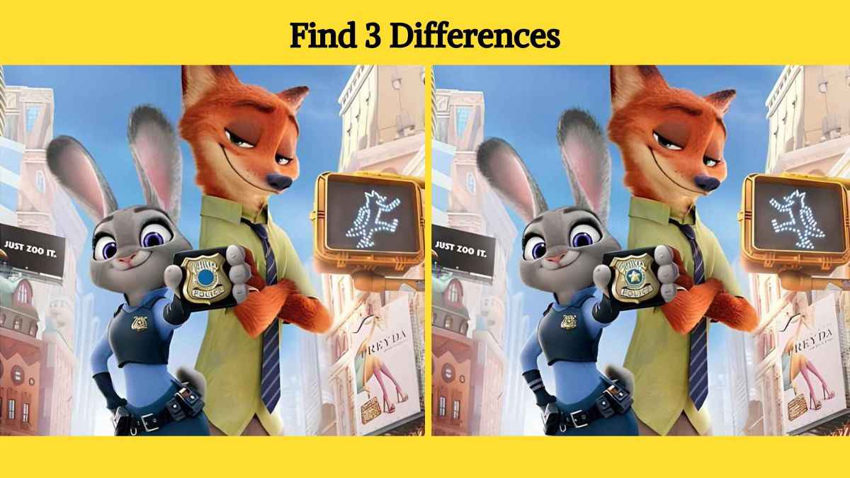 Find 3 differences between the pictures of a rabbit and a fox in 12 seconds!