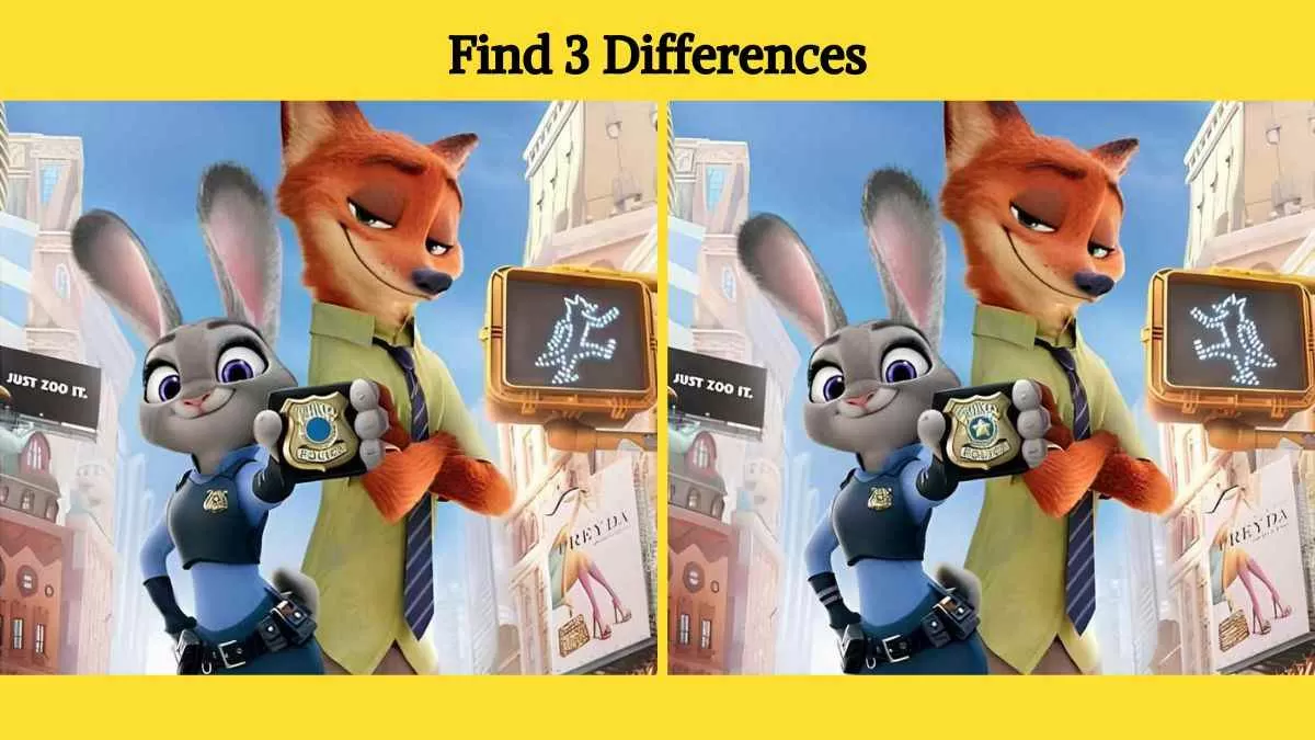 Find 3 differences in 12 seconds