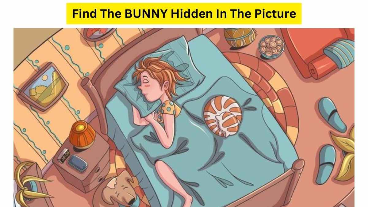 Test Your IQ: Can You Find The Naughty BUNNY Hidden In The Girl’s Bedroom Within 9 Seconds. Good Luck!