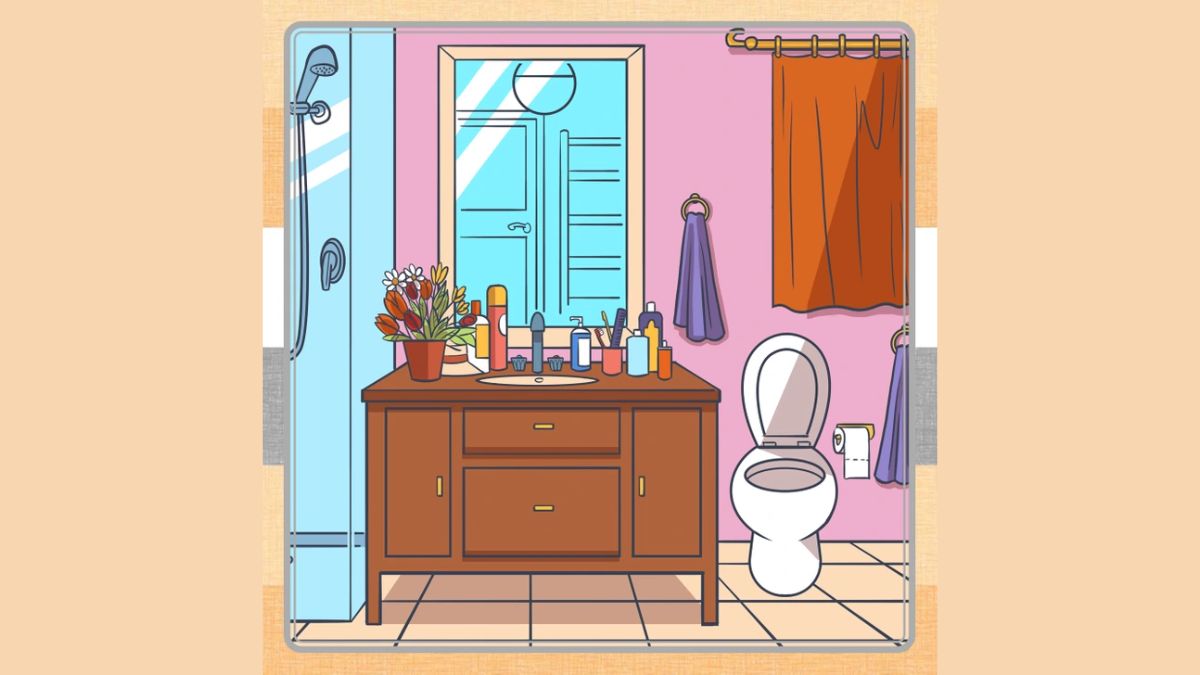 Picture Puzzle IQ Test: You Are Highly Attentive If You Can Spot A Hat In This Bathroom In 8 Seconds!
