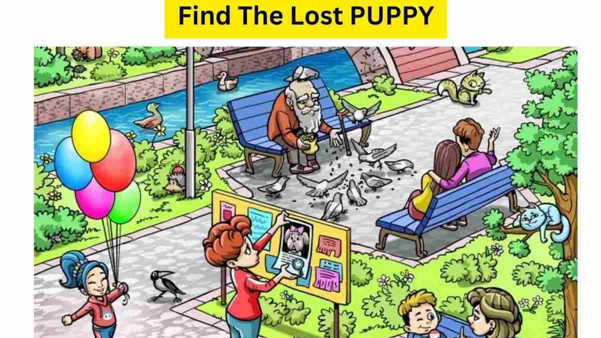 Picture Puzzle IQ Test: Can You Find The Poor LOST PUPPY Hidden In The ...