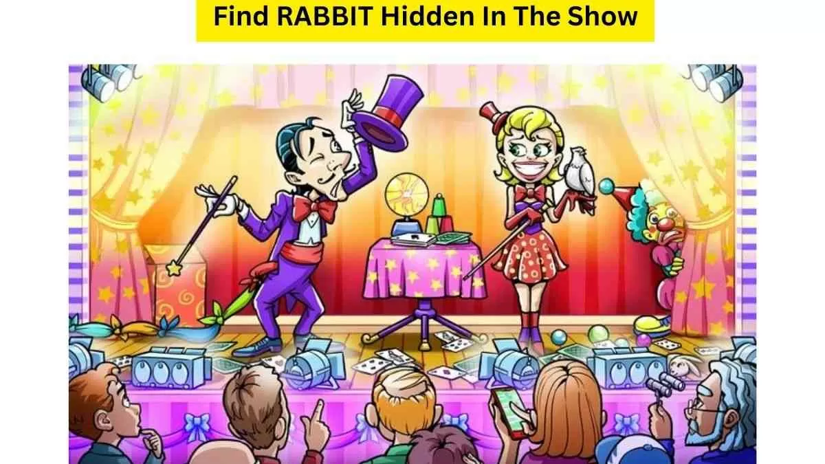 Spot The Rabbit Hidden In The Picture!