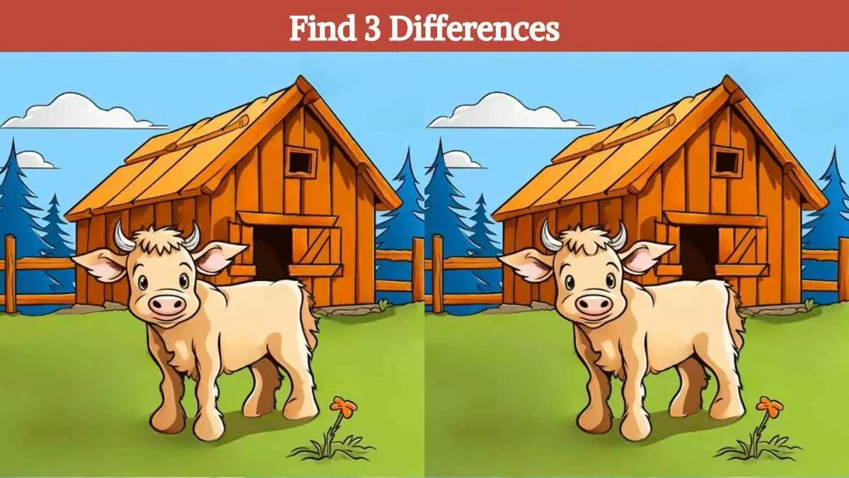 Find 3 differences in 14 seconds