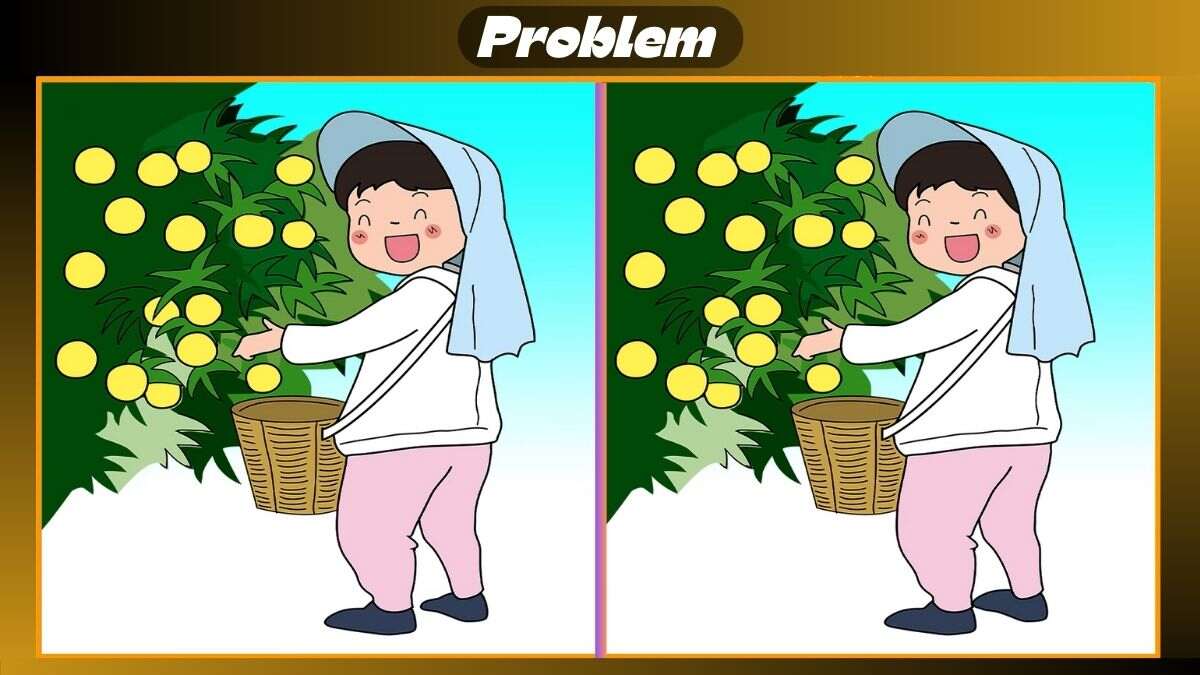 Find 3 Differences In 24 Seconds In Fruit Harvesting Scene