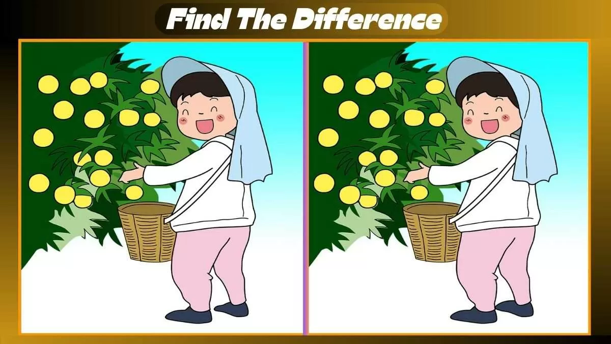 Find 3 Differences In 24 Seconds In Fruit Harvesting Scene