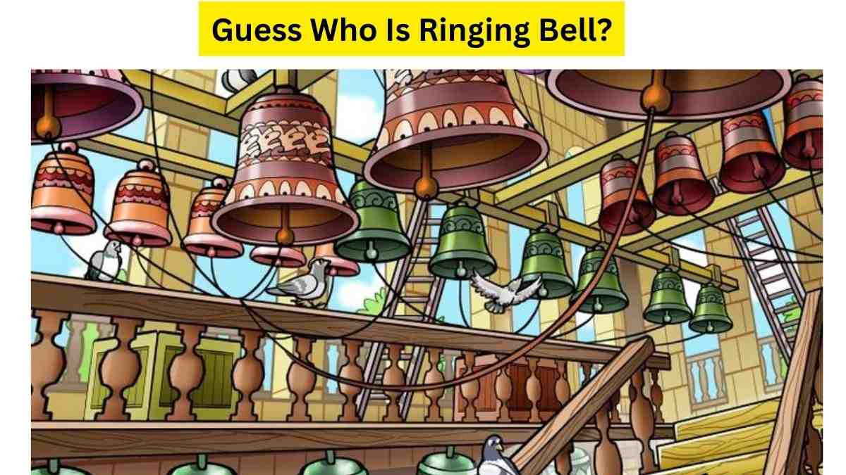  Alert! Can You Find The Intruder Ringing The Bell Within 9 Seconds? 