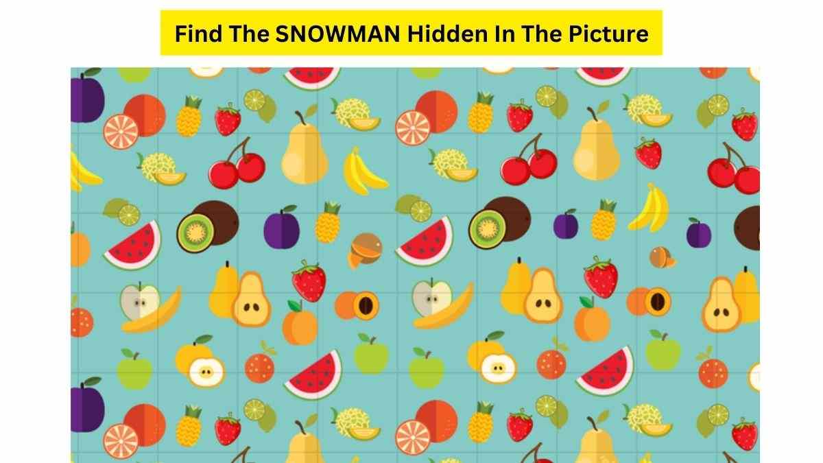 Accept The Challenge To Find The SNOWMAN Hidden In This IQ Test Puzzle ...