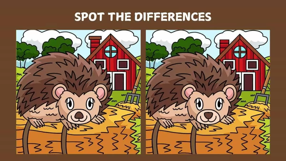 Spot 4 differences in 25 seconds