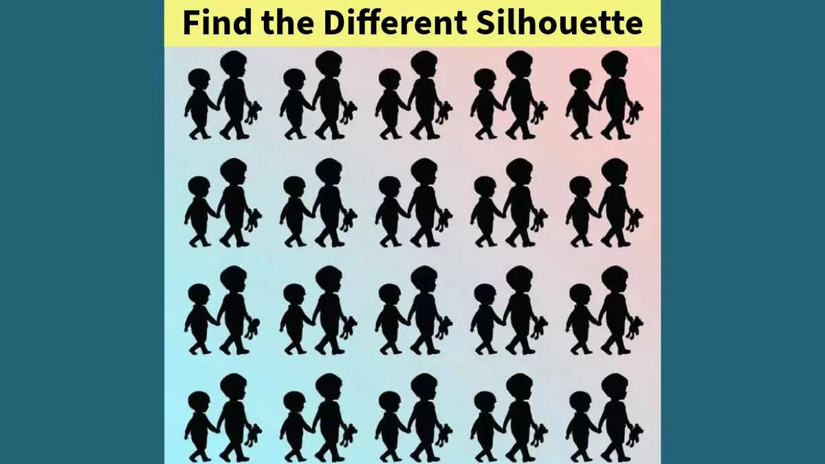 Find the different silhouette in 5 seconds!