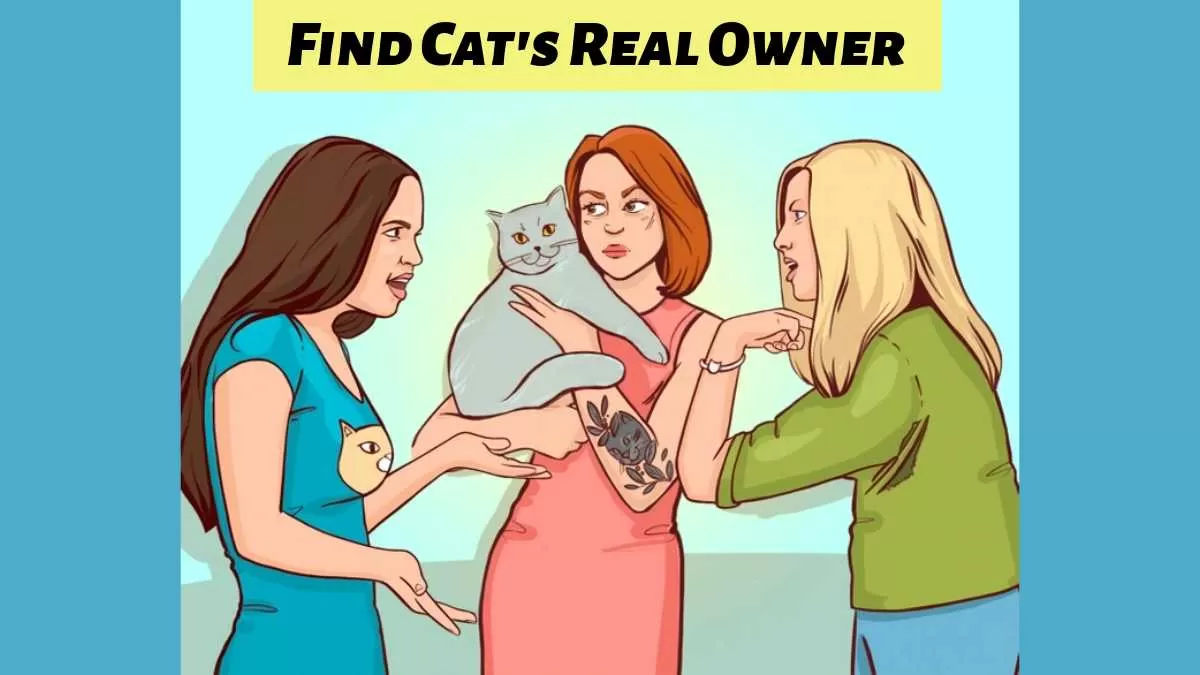 Find cat's real owner