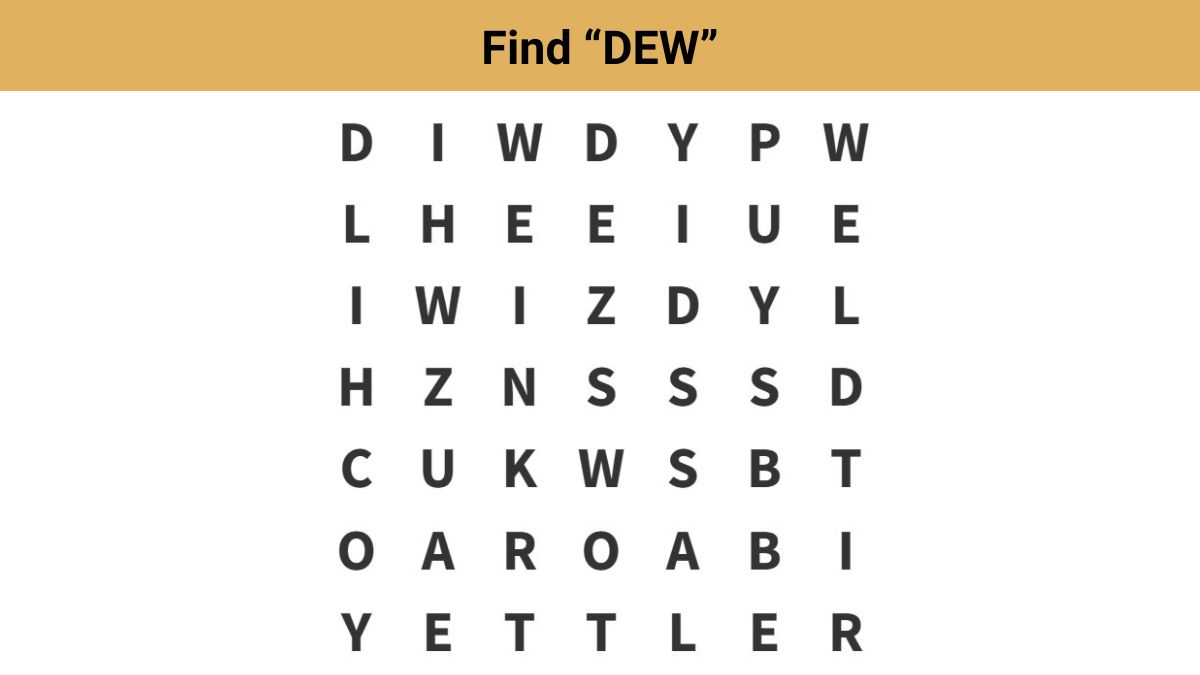 Word Search Puzzle - Find the word ”DEW” in 8 seconds!