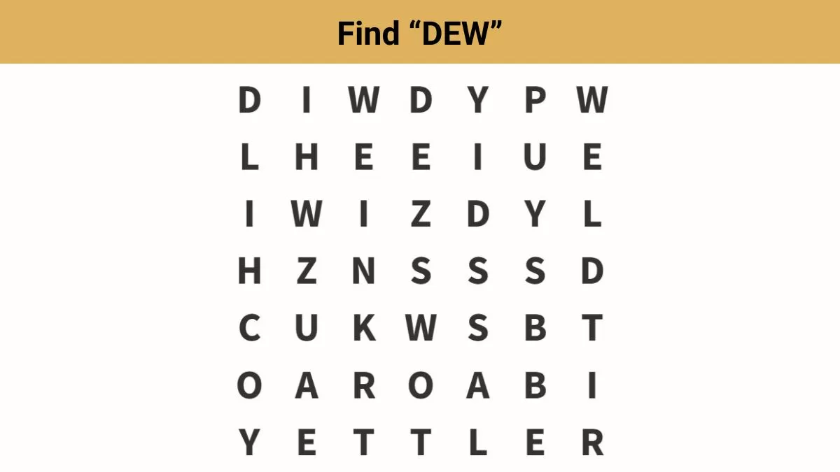 Word Puzzle find "DEW" in 8 Seconds!