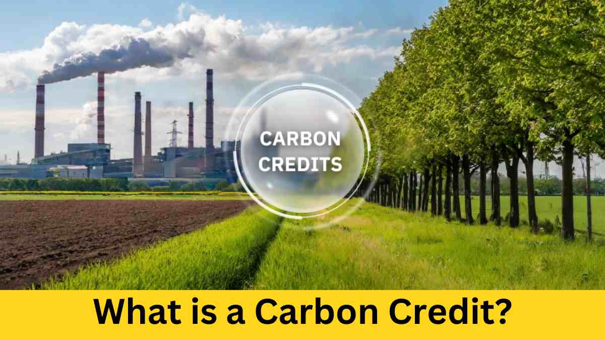 What is a Carbon Credit? It's Role in Emission Reduction and Article 6 of the Paris Agreement