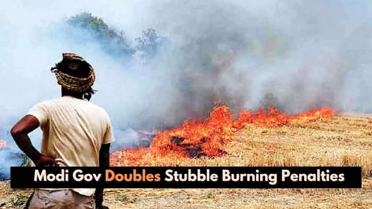 The central government has nearly doubled the fines for stubble burning for farmers in states near the national capital.