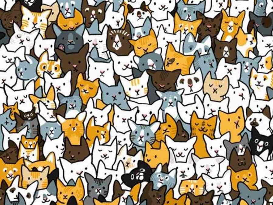 hidden optical illusion with answers