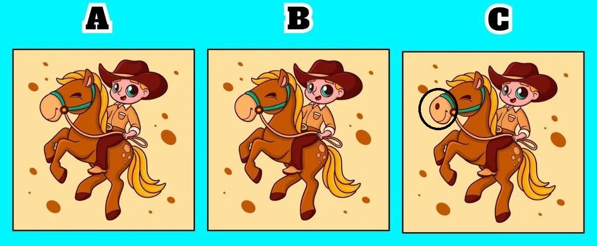 picture puzzles with answers