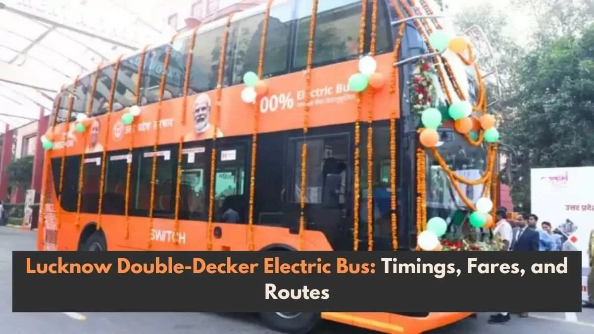 Women will receive a 50% discount on tickets of the double-decker bus.