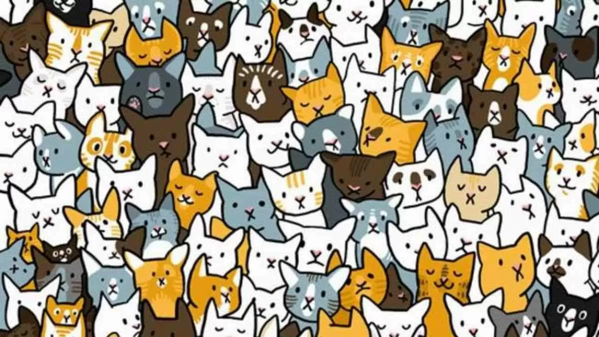 Spot the bunny.