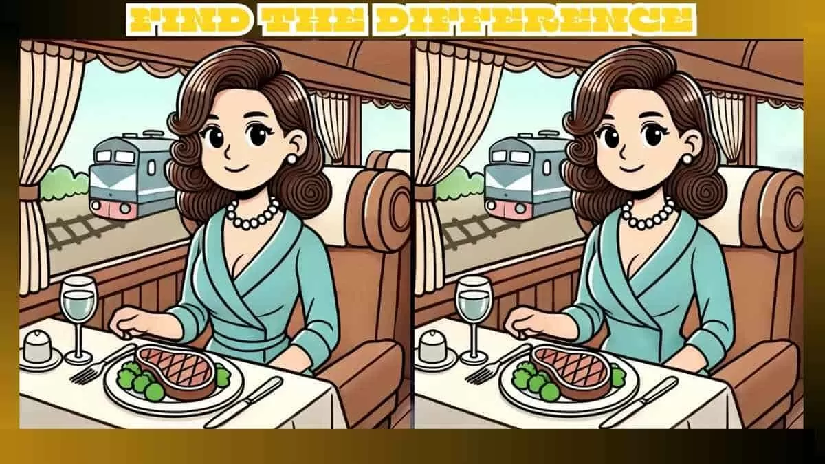 Spot 3 Differences in Lunch in Train Pictures - Can You Find Them in 19 Seconds