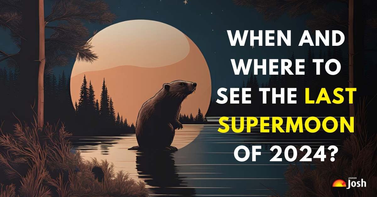 When and Where to Watch the Last Supermoon of the Year? Check Details Here!