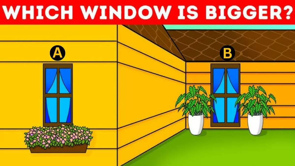 Spot which window is bigger.