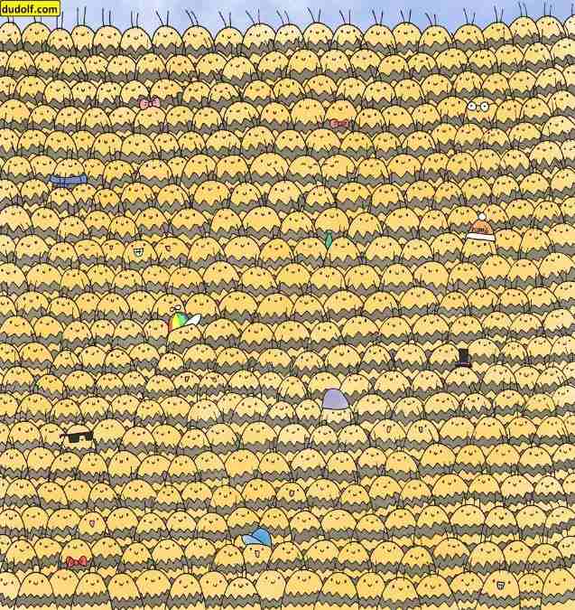 picture puzzles with answers