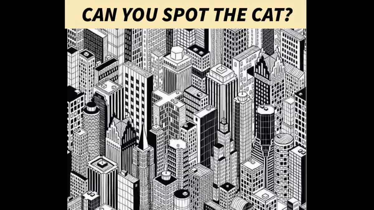 Brain teaser: Can you spot the cat?