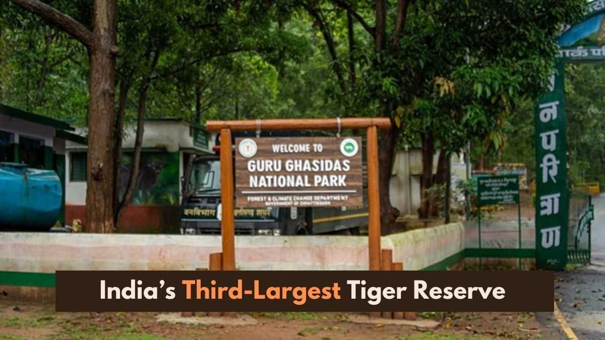 India’s Third-Largest Tiger Reserve: Chhattisgarh Now Has Four Tiger Reserves