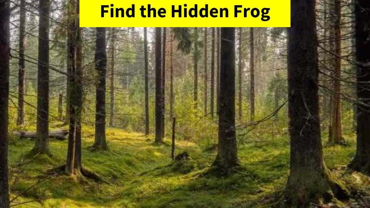 Optical Illusion - Find the hidden frog in 7 seconds!