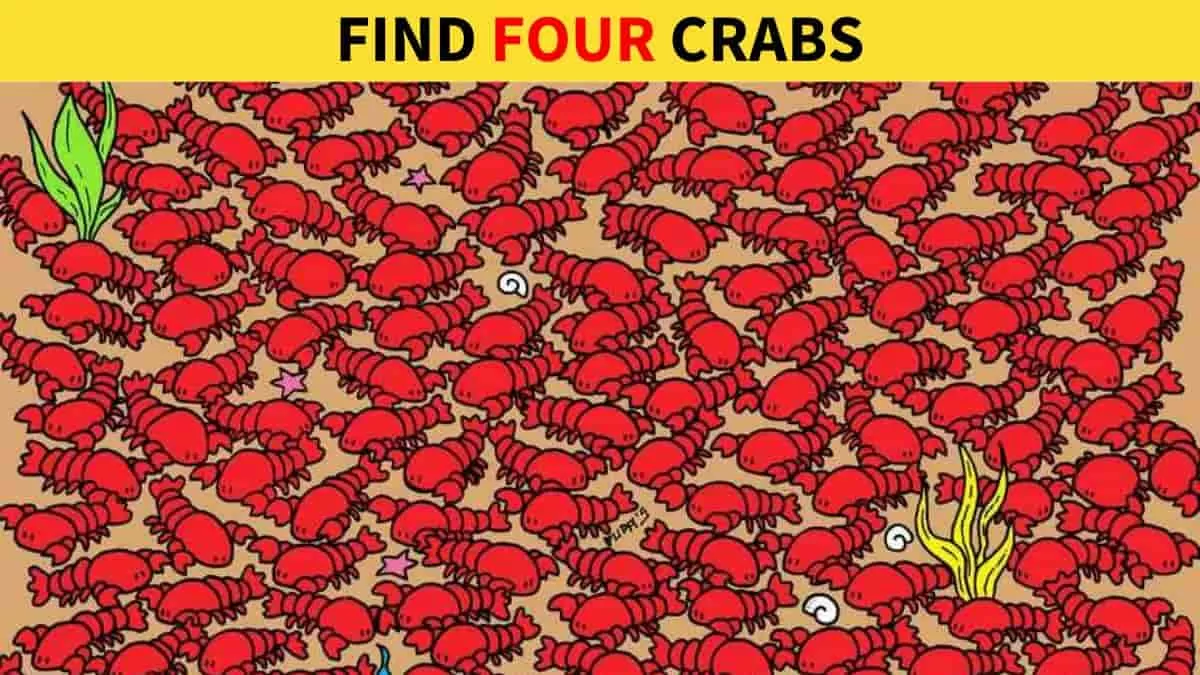 Find four crabs among lobsters