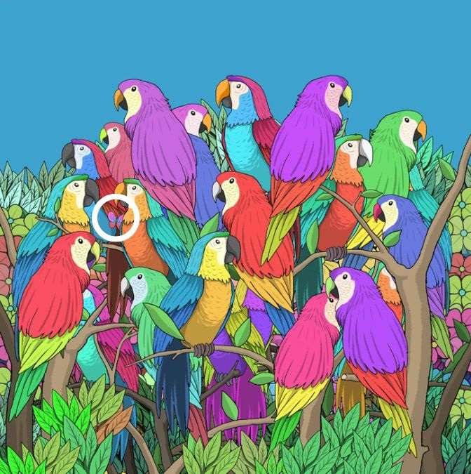 picture puzzles with answers