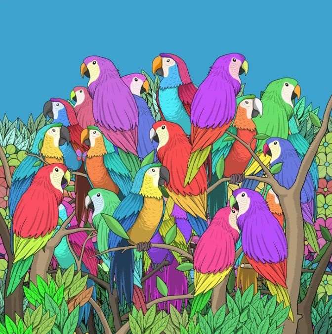 picture puzzles with answers