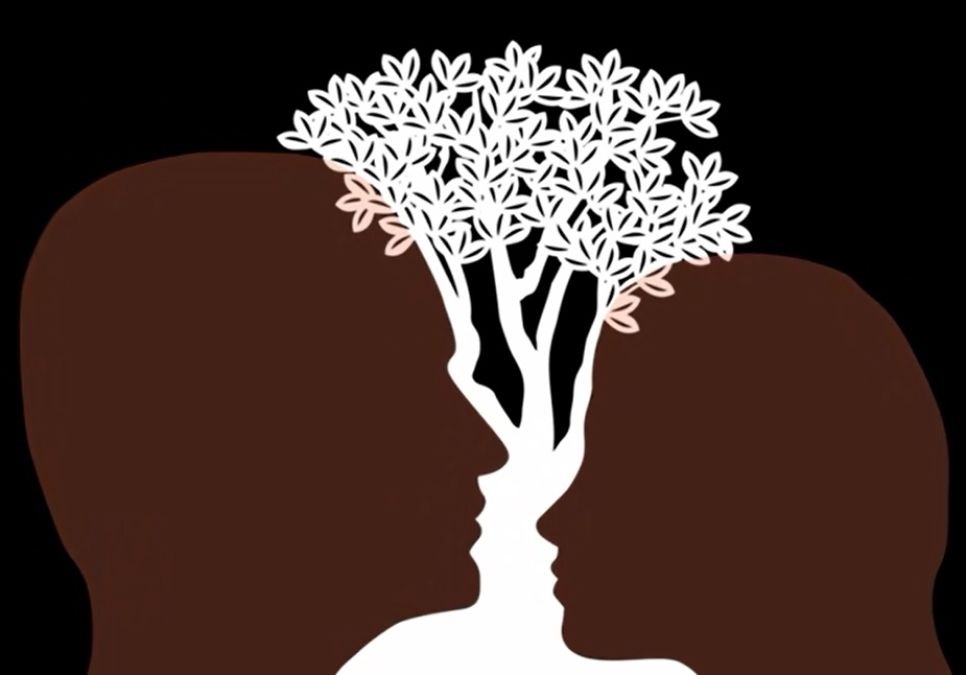 optical illusion personality test