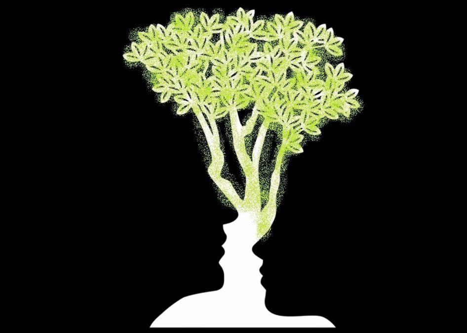 optical illusion personality test