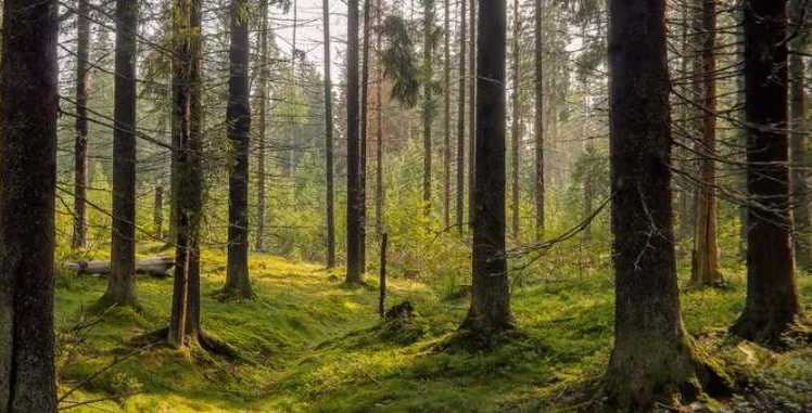 psicologiasdobrasil.com.br - Quase todo mundo passa batido por essas 10 ilus&otilde;es de &oacute;tica &mdash; voc&ecirc; vai ser diferente?