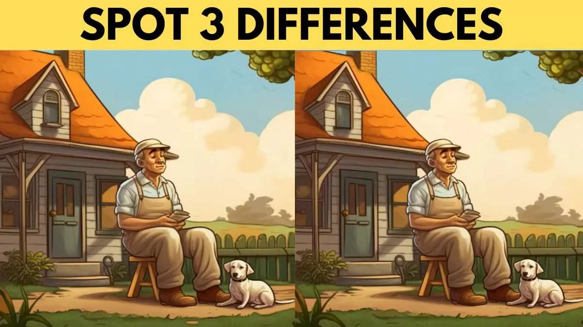 Spot the differences between two pictures