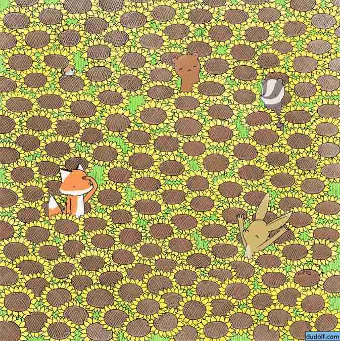 picture puzzles with answers