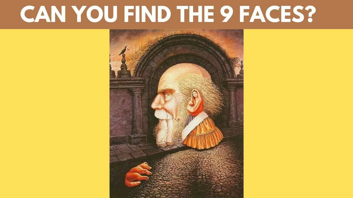 Can you find all the 9 faces?