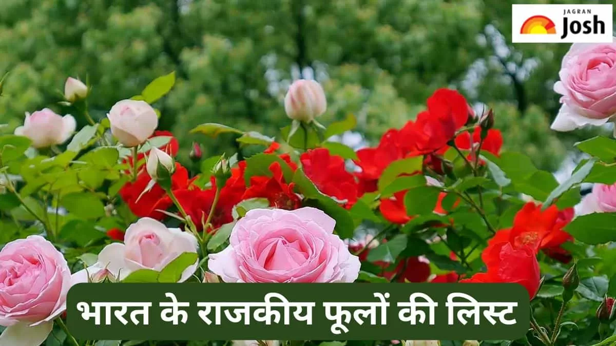 भारत के राजकीय फूलों की लिस्ट