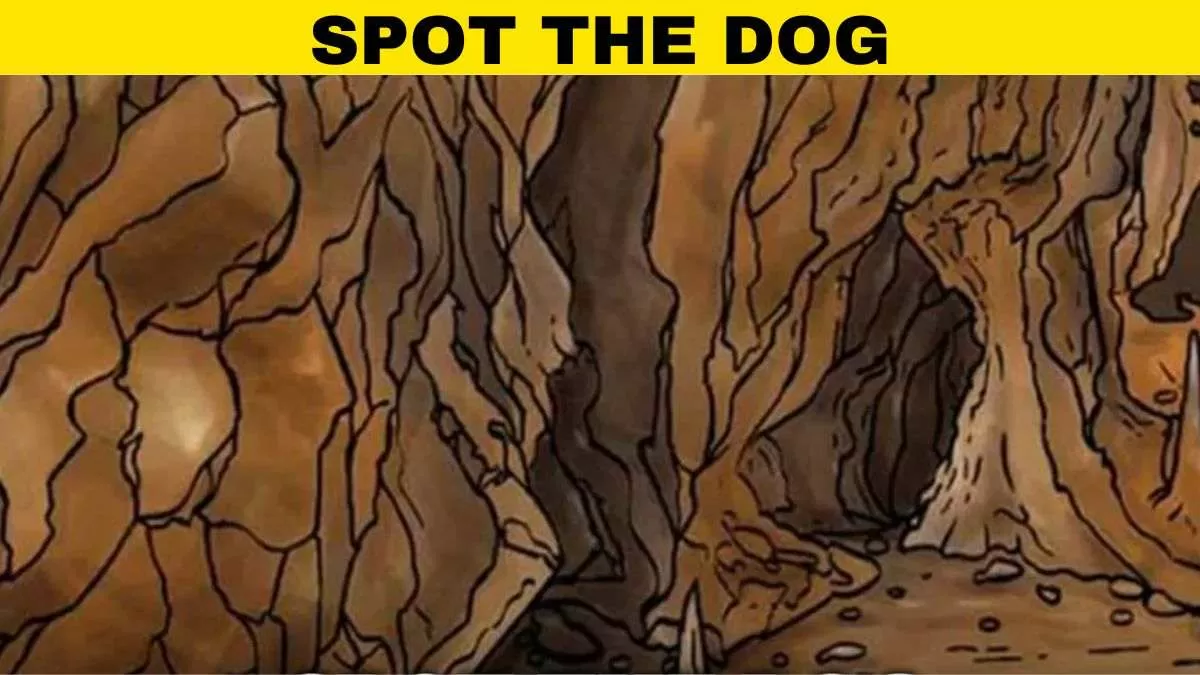 Spot the dog.