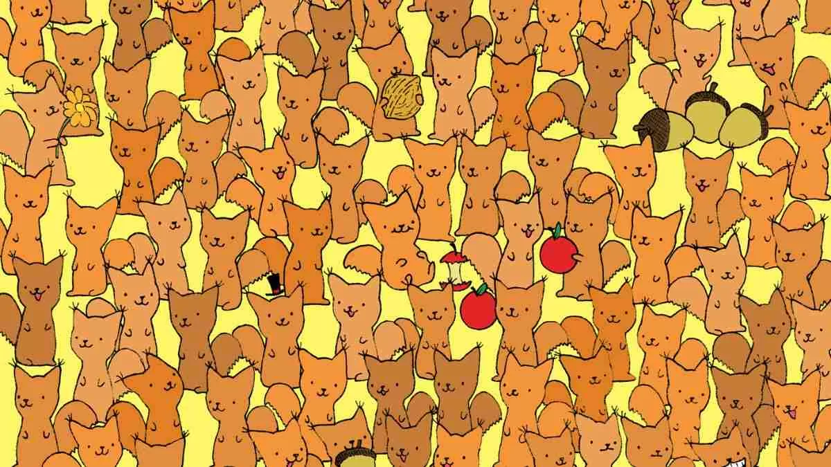 Spot the mouse.