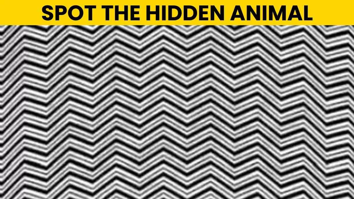 Spot the hidden animal.