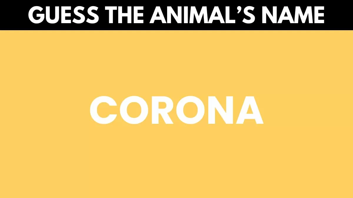 Can you guess the animal's name?