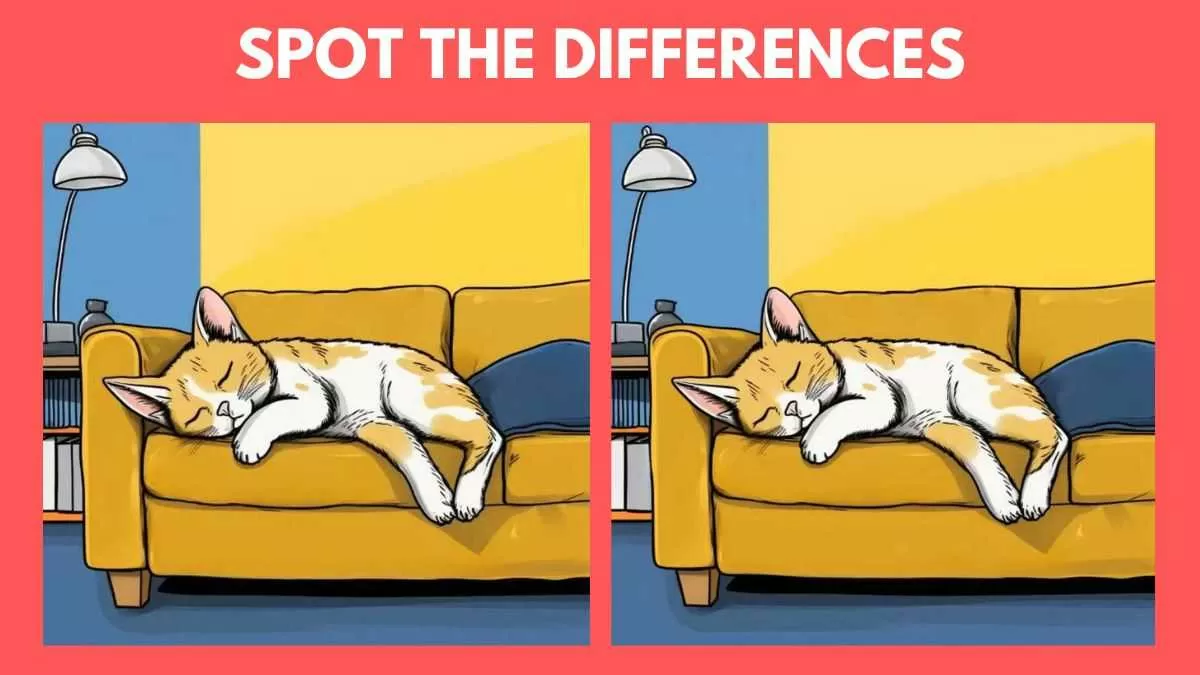 Spot 3 differences