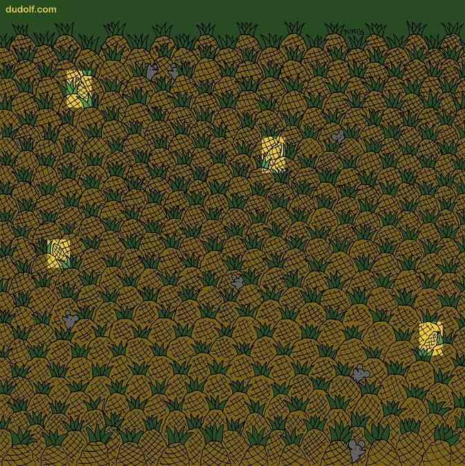 hidden picture puzzles with answers