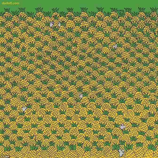 hidden picture puzzles with answers