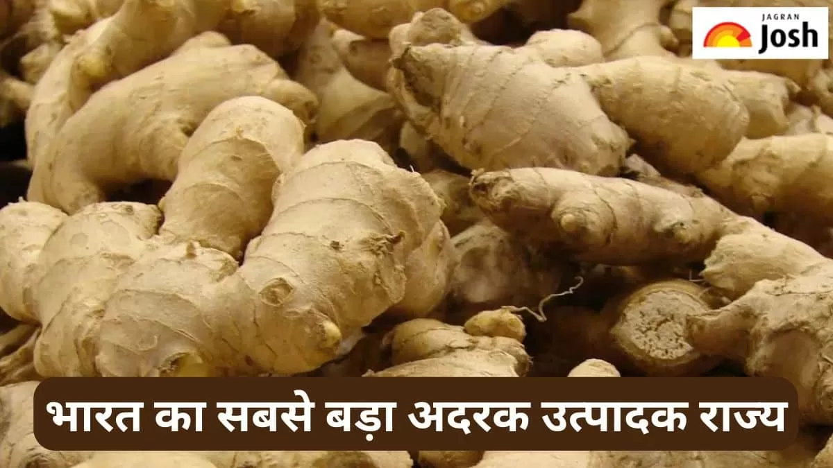 भारत का सबसे बड़ा अदरक उत्पादक राज्य 