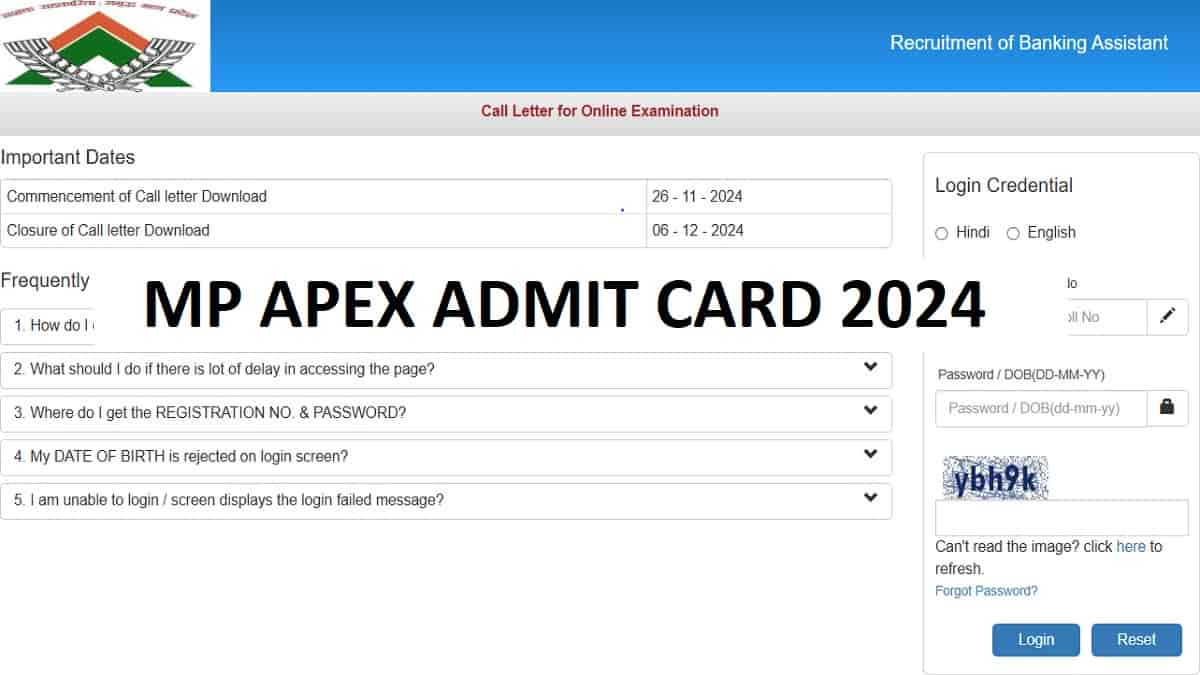 MP Apex Bank Admit Card 2024 OUT at ibpsonline.ibps.in: Check Direct Download Link
